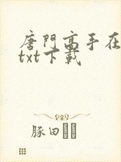 唐门高手在异世txt下载