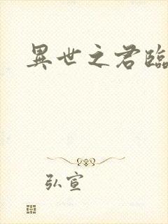 异世之君临天下