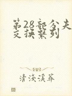 第28部分夫妇交换系列