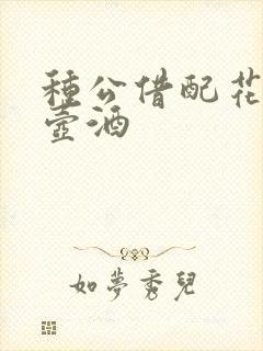 种公借配花间一壶酒