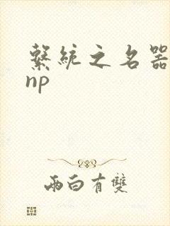 系统之名器攻略np