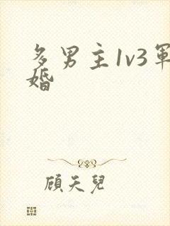 多男主1v3军婚