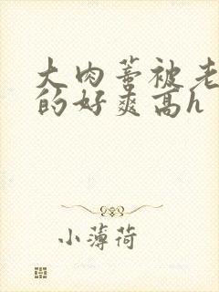 大肉蒂被老头嘬的好爽高h