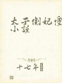 太子侧妃傻乎乎小说