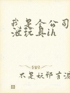 我是全公司的发泄玩具ih