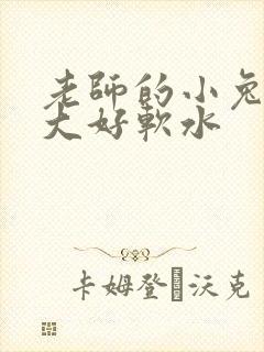 老师的小兔子好大好软水