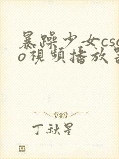 暴躁少女csgo视频播放器推荐