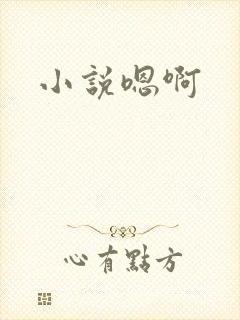 小说嗯啊