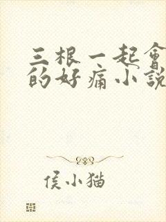 三根一起会坏掉的好痛小说