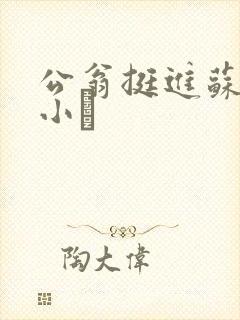 公翁挺进苏玥的小泬