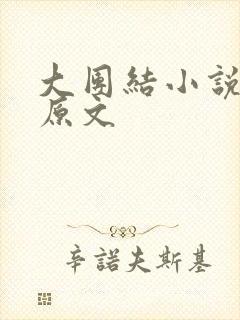 大团结小说阅读原文