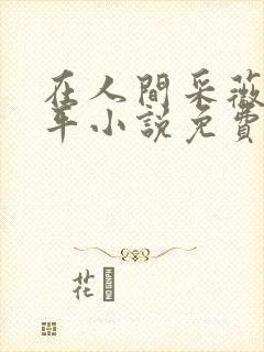 在人间采薇陆三平小说免费阅读