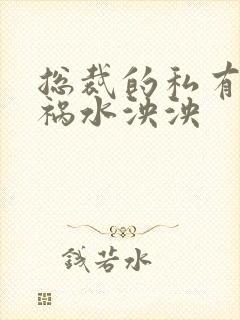 总裁的私有宝贝祸水泱泱