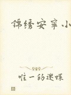 锦绣安宁小说