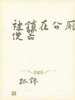 被锁在公厕当坐便器