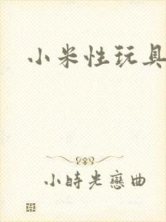 小米性玩具日记