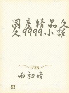 国产精品久久久久9999小说