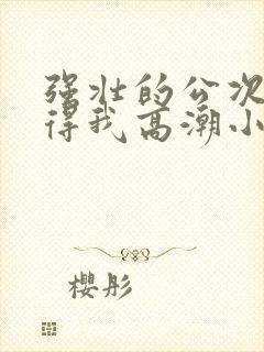 强壮的公次次弄得我高潮小说