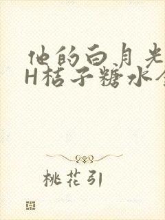 他的白月光HVH桔子糖水全文