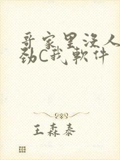 哥家里没人使点劲C我软件