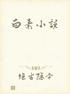 白素小说
