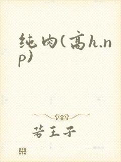 纯肉(高h.np)