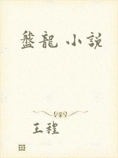 盘龙 小说