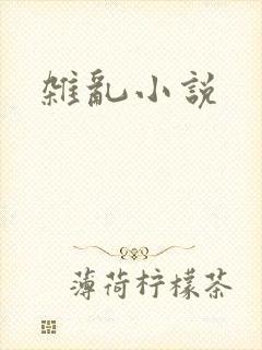 杂乱小说