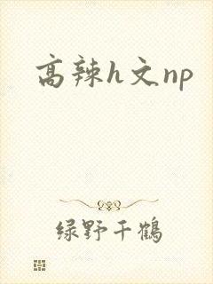 高辣h文np