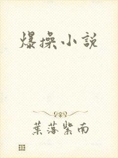 爆操小说