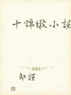 十锦缎小说