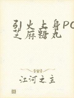 引火上身POP芝麻糖丸