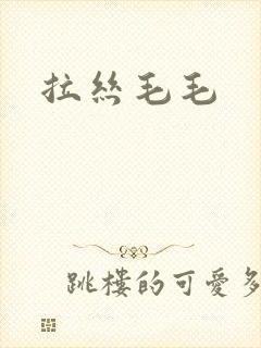 拉丝毛毛