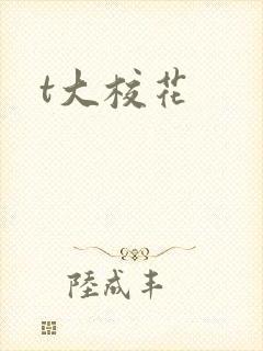 t大校花
