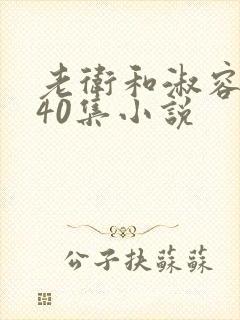 老卫和淑容1-40集小说