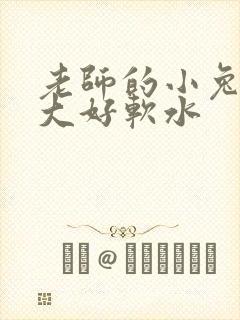 老师的小兔子好大好软水