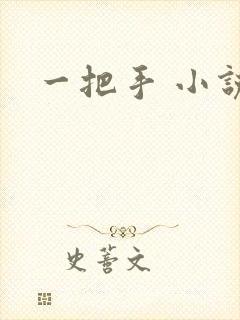 一把手 小说