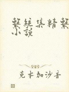 系统集精系统 小说