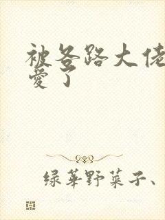 被各路大佬强制爱了