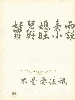 好儿媳秦雨罗明罗兴旺小说