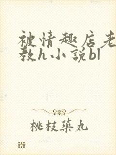 被情趣店老板调教h小说bl