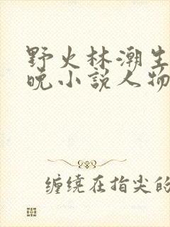 野火林潮生林晚晚小说人物野火