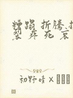 糟蹋 折腾 撕裂 疼 死 哀求