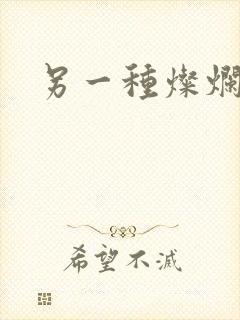 另一种灿烂生活