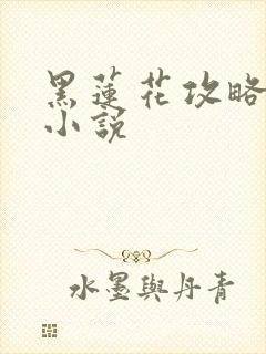 黑莲花攻略手册小说