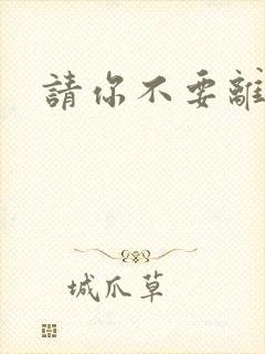 请你不要离开我