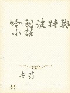 哈利波特与密室小说