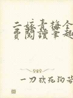 二嫁青梅全文免费阅读笔趣阁