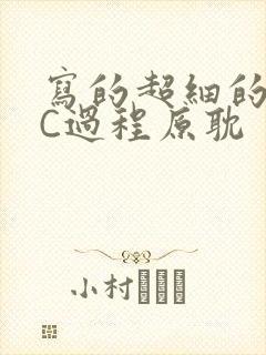 写的超细的多肉C过程原耽