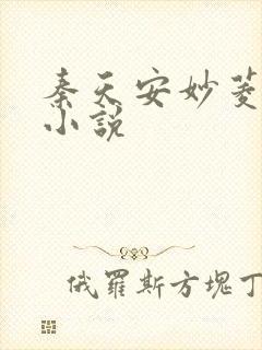 秦天安妙菱修仙小说